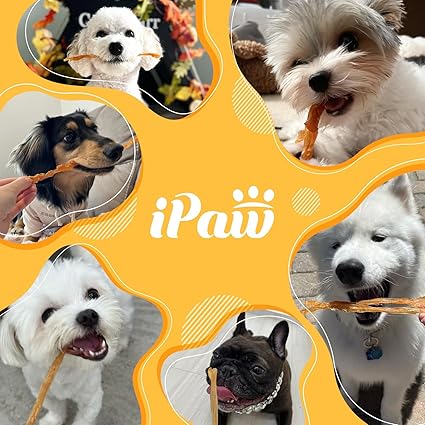 ターキー7様 リクエスト 5点 まとめ商品 iPAW 犬 おやつ 国産 ターキーアキレス ショート 七面鳥すじ