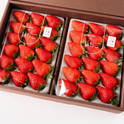 【1月19日～2月2日中に発送】農皇いちご　きらぴ香　◇大粒　36粒入◇