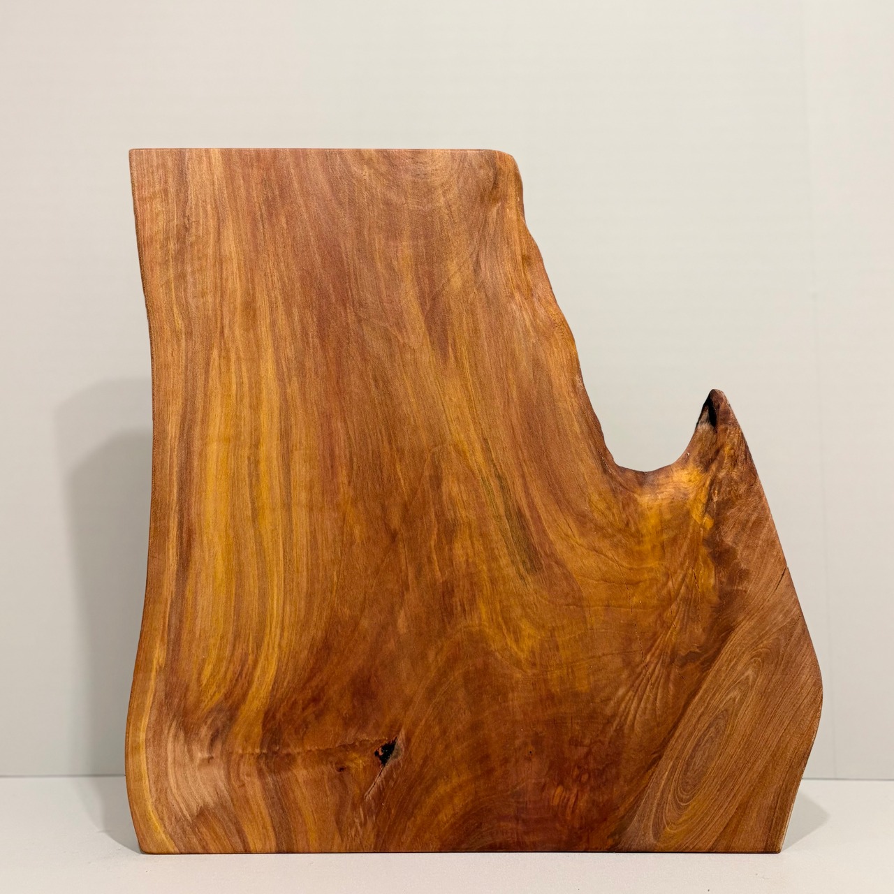 木の結婚証明書｜ヤマモモ｜No.767