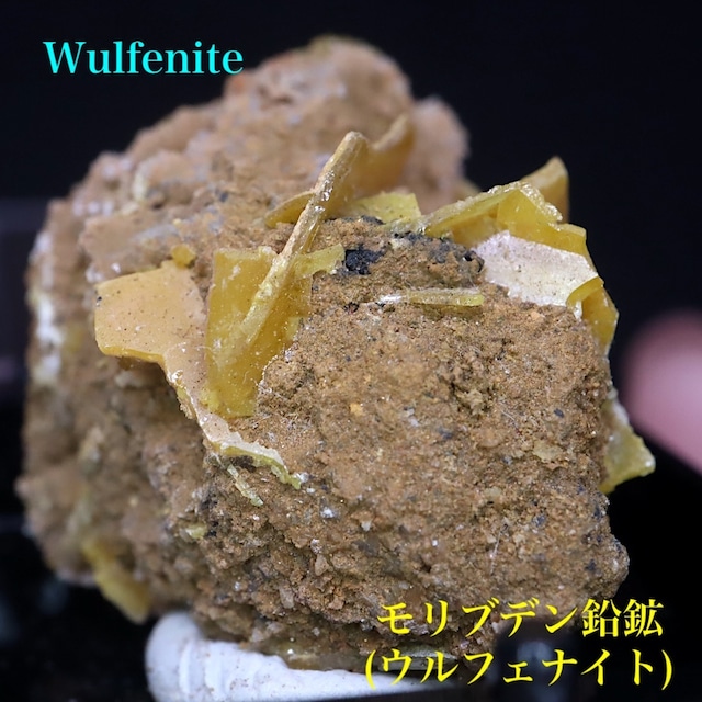 ネバダ州 モリブデン鉛鉱 ウルフェナイト WF174 天然石 鉱物 原石