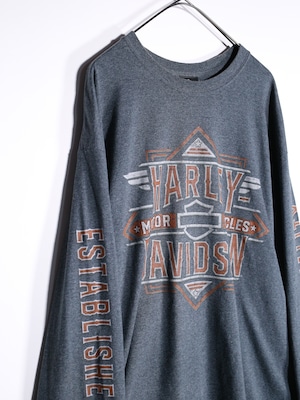 "Harley-Davidson" 360° print design over silhouette l/s tee