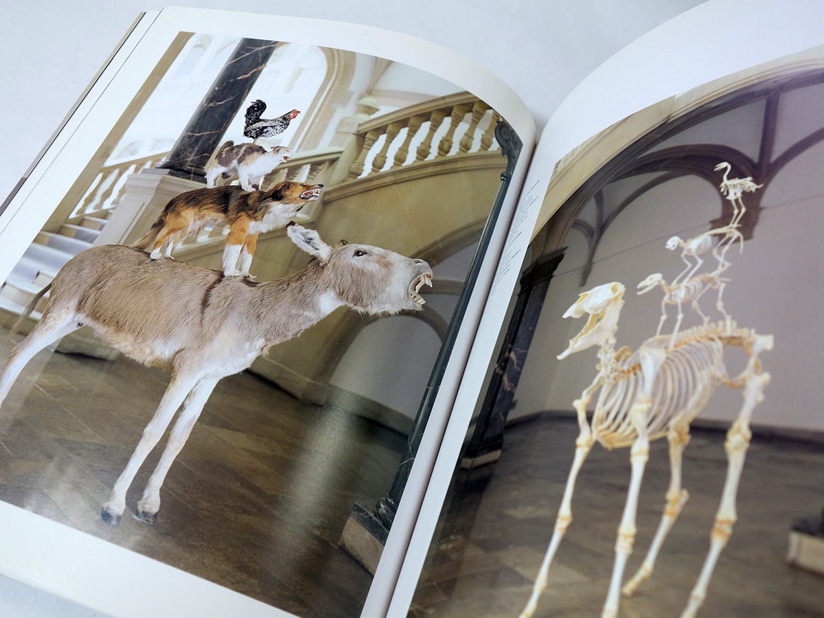 Maurizio Cattelan：マウリツィオ・カテラン 作品集 | bookstore ナルダ