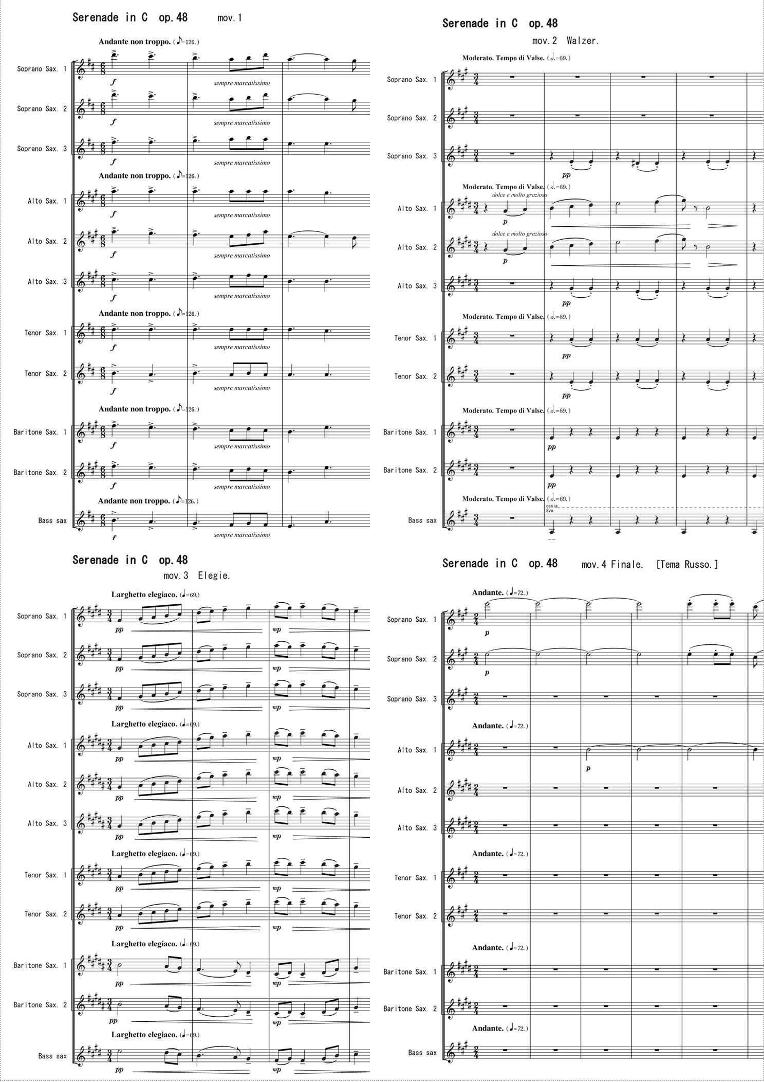 Large Ensemble | Helipterum