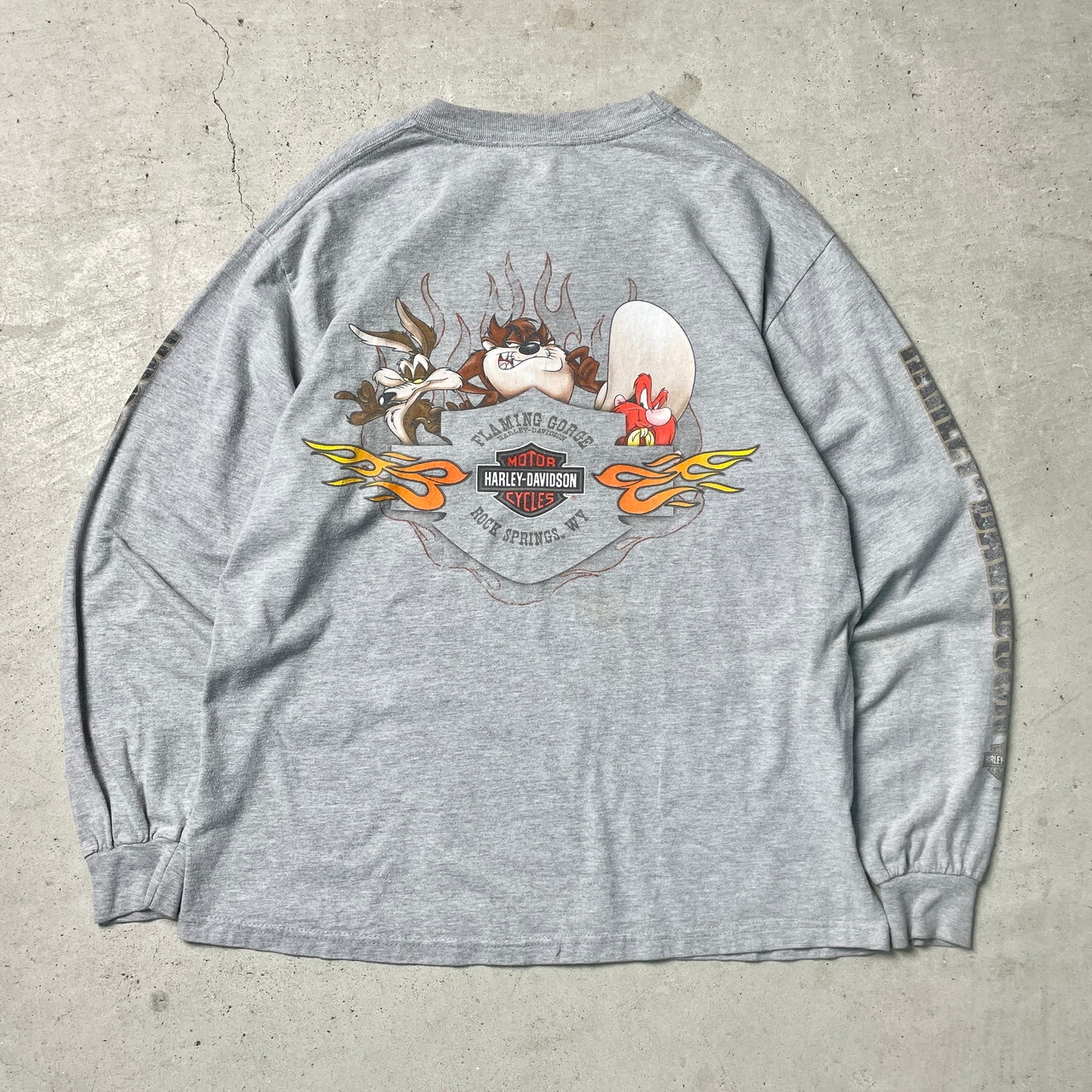 USA製 Harley-Davidson Looney Tunes ルーニー・テューンズ タスマニア 