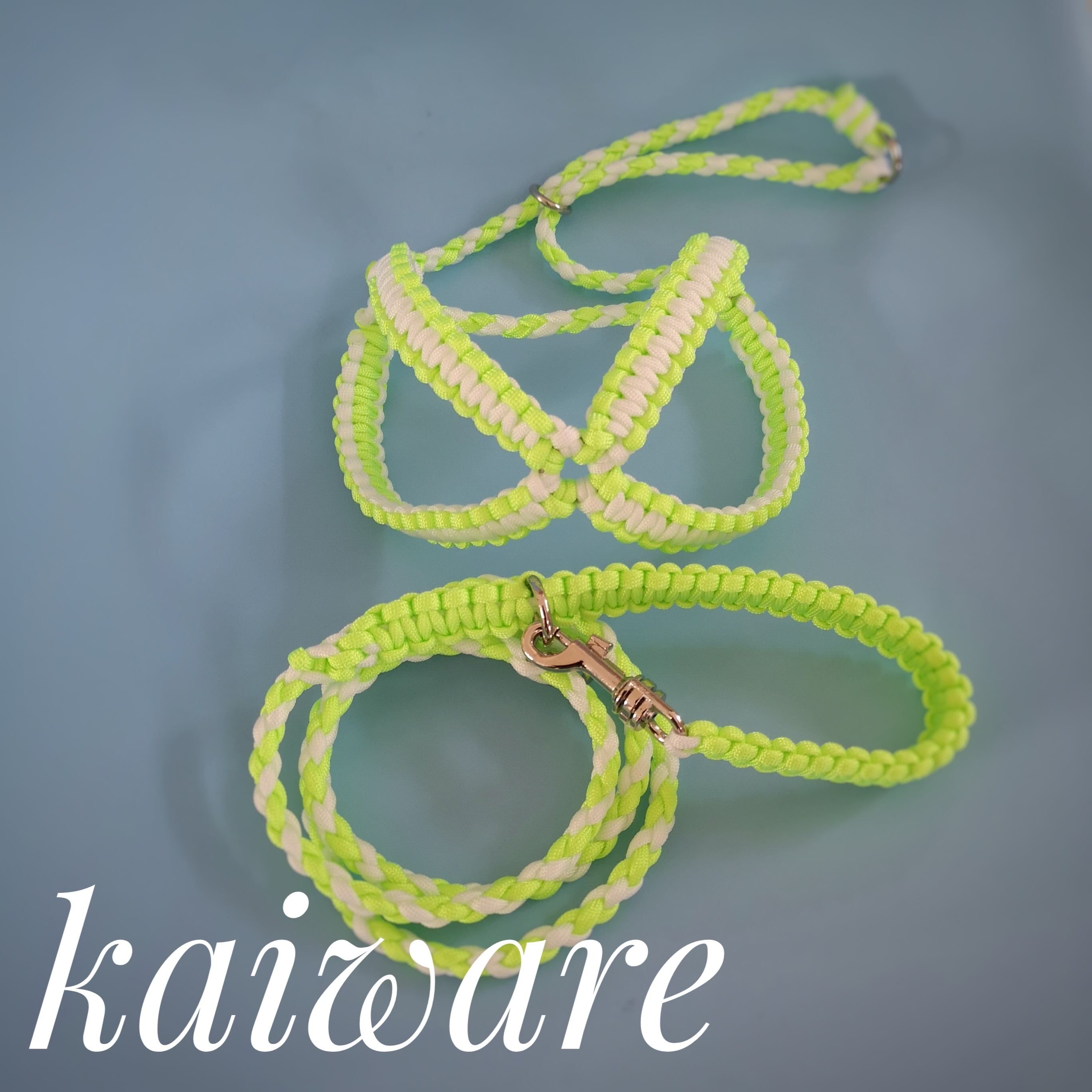 パラコードリード 犬のリード Mサイズ 軽くてかわいい パラコード トイ