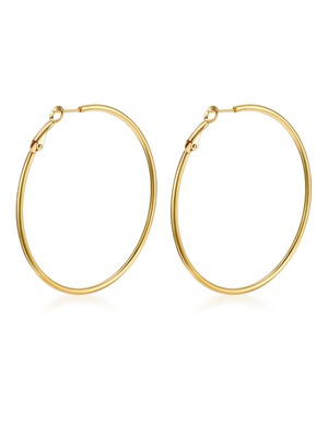 【新着特価】Bestyle フープピアス レディース リンク ピアス 大きめ サージカルステンレス アレルギー対応 幅2mm 定番 両耳 20-70mm プレゼント アクセサリー