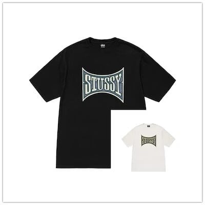 STUSSY CHAMPION PIGMENT DYED TEE ステューシー