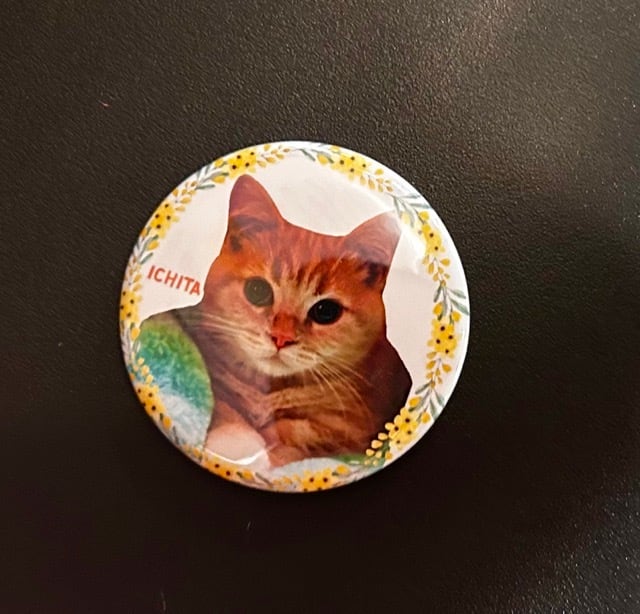 ねこｶﾌｪなる ｜長野の猫カフェ