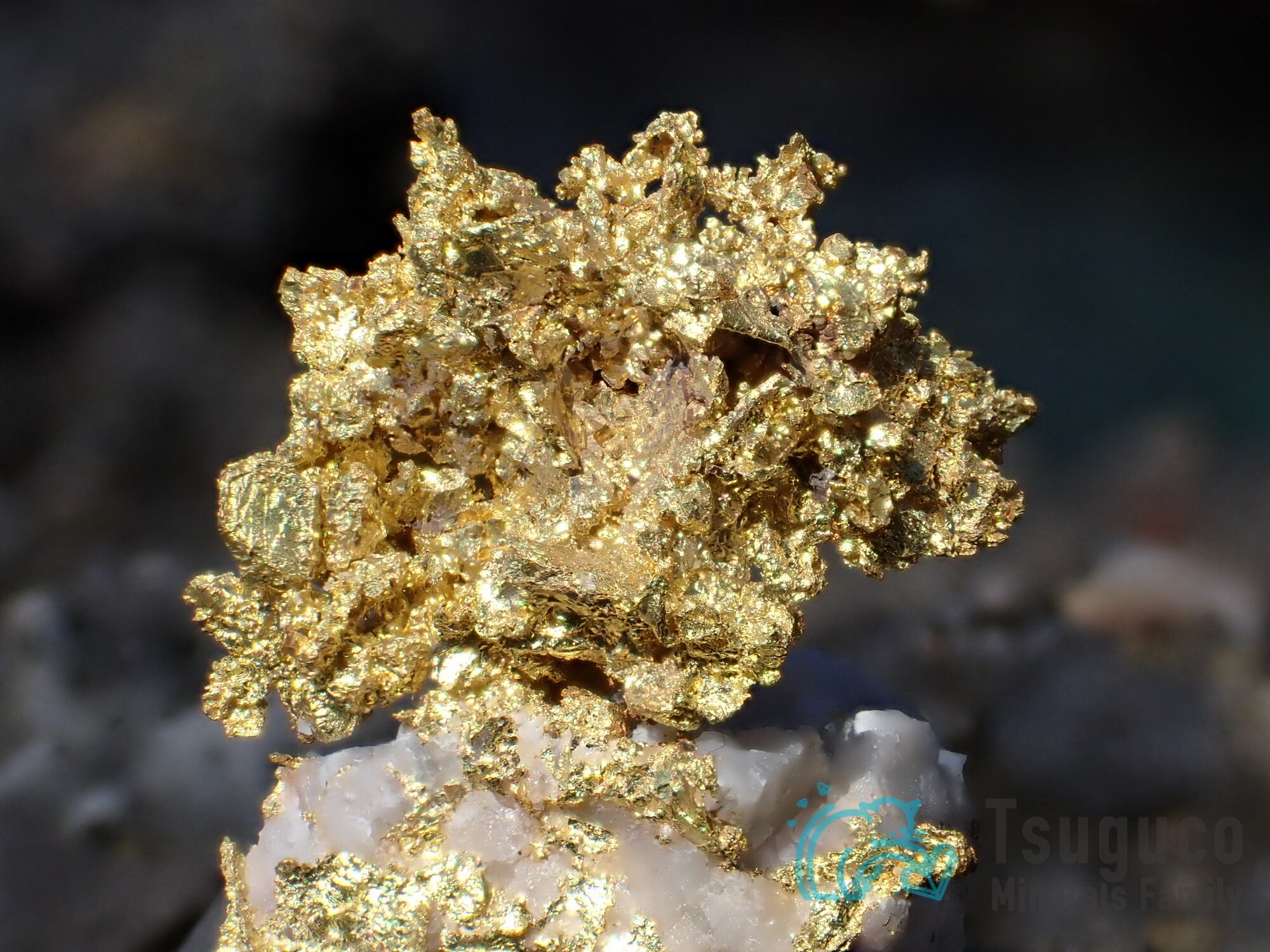 ネイティブ・ゴールド 自然金 アメリカ TM-692 | つぐこみねらる