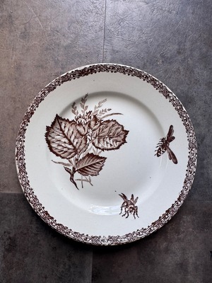 ショワジールロワ　ディナープレート