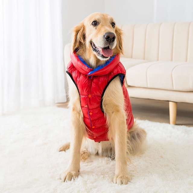 犬の洋服　リバーシブルジャンパー 　暖かい服　犬服　中型犬　大型犬