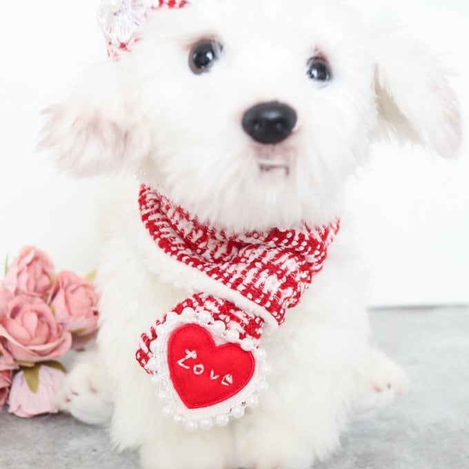 マフラーのみ/単体ご購入ページ | misacrown