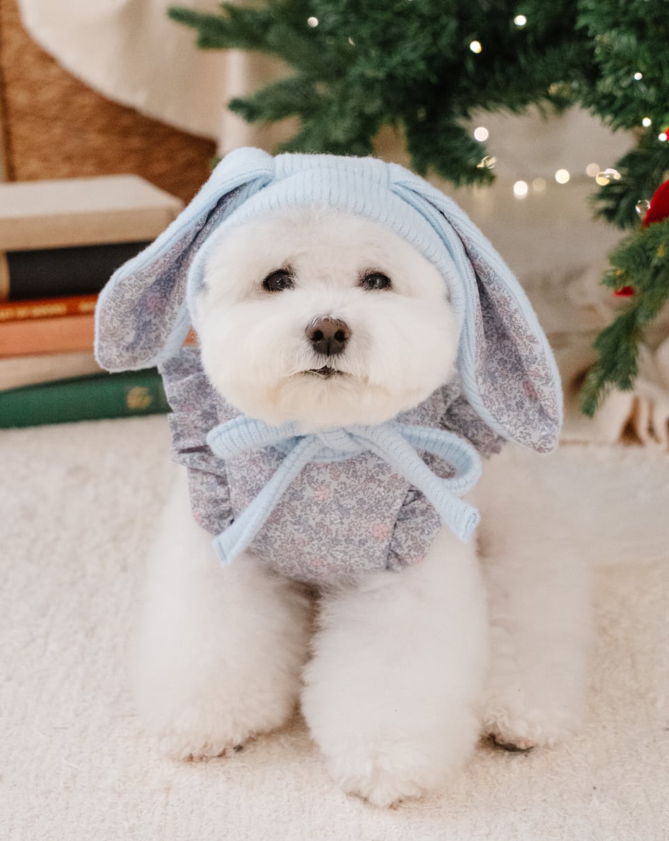 予約【Mabellefifi】Bouncy Bunny Knit Hat (Blue)