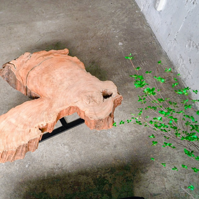 屋久杉のローテーブル