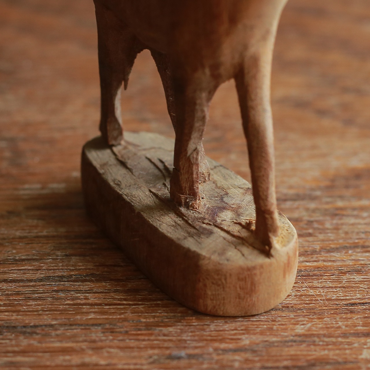 凛々しい立ち姿の、小柄なトムソンガゼル 3