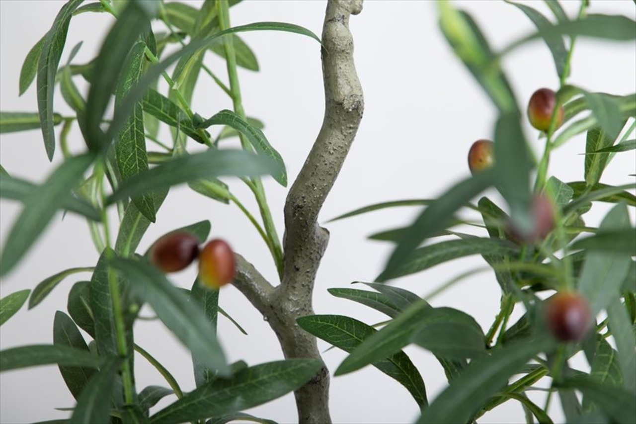 【高さ85cm】Nature 光触媒人工観葉植物 オリーブ