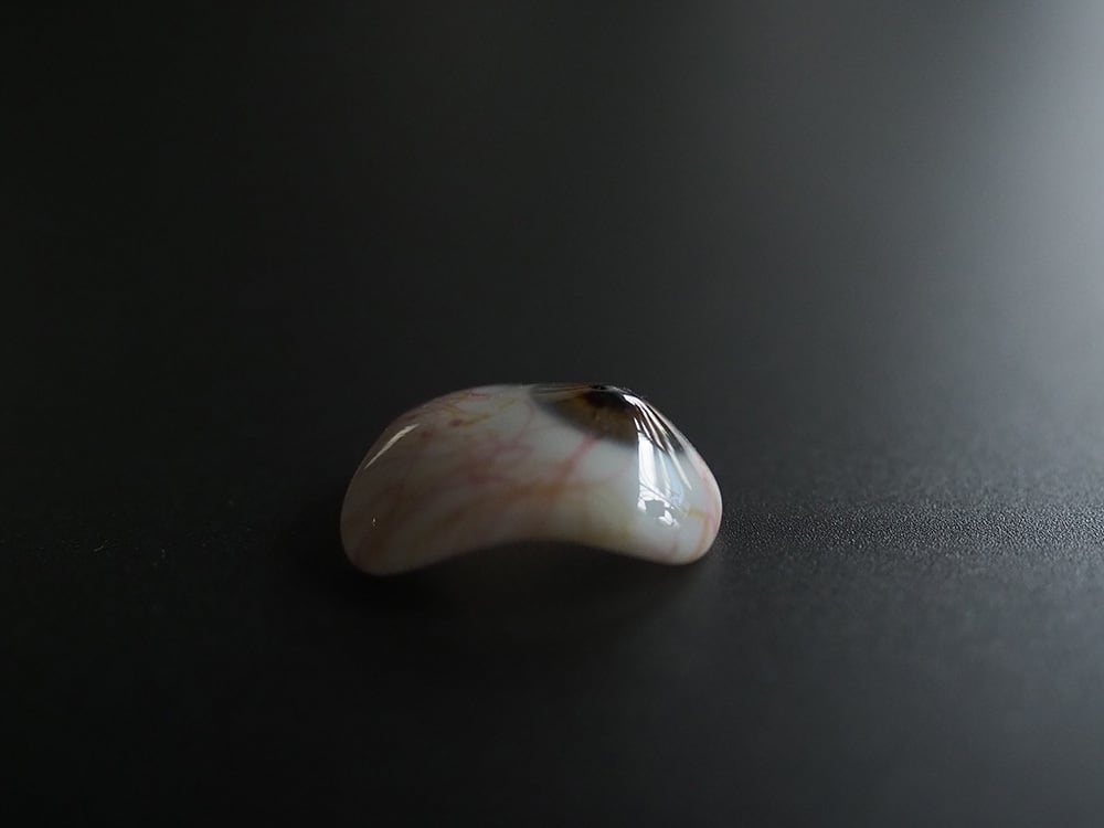 義眼 虹彩3色セット | antique Salon