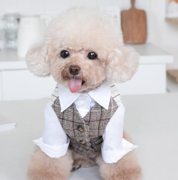 《予約》1102453 オシャレベスト