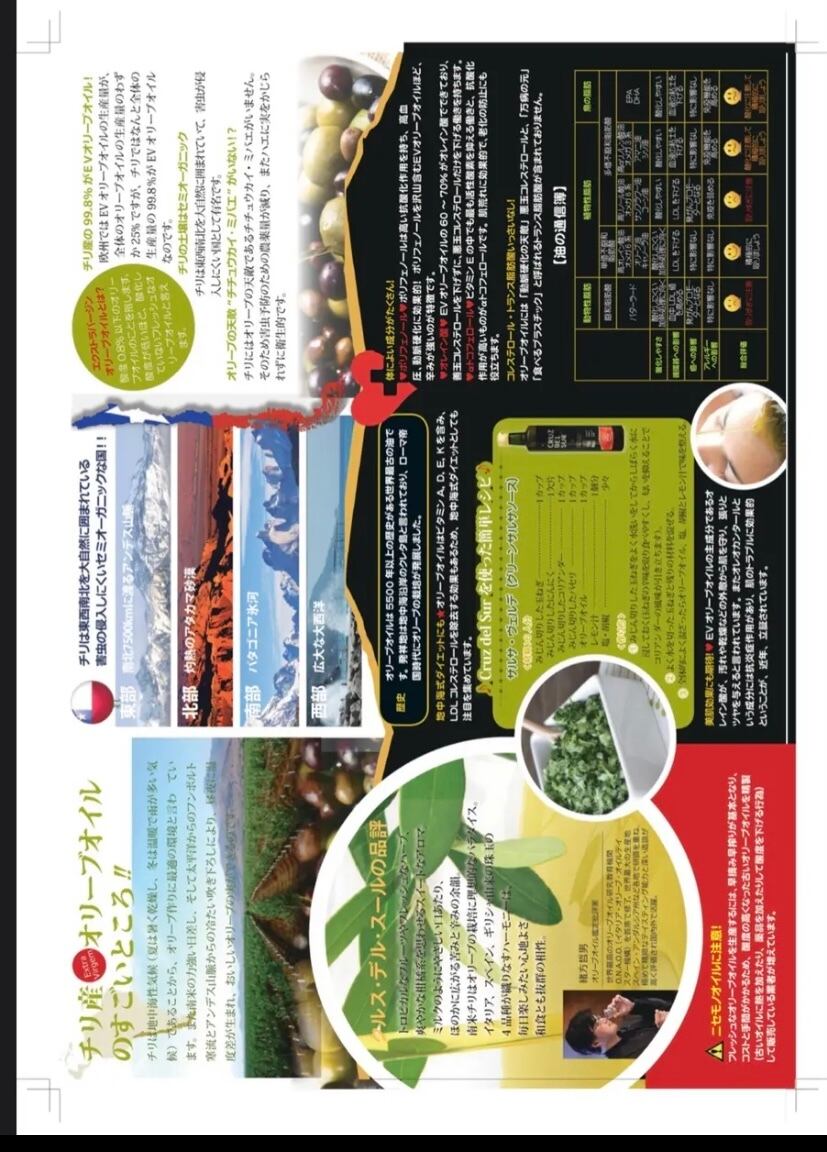 公式ショップ チリ産エクストラバージンオリーブオイル Cruz Del Sur クルス デル スール 500ml Materialworldblog Com