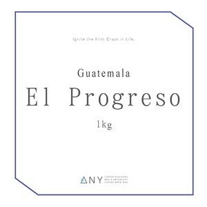 [1000g] El Progreso, Guatemala- Washed / エルプログレソ、グアテマラ