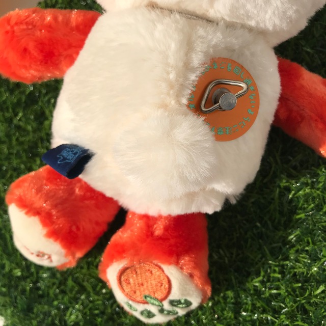 オルゴール フルーツの国 バレンシア S 円山裏参道wawa ミュージアム