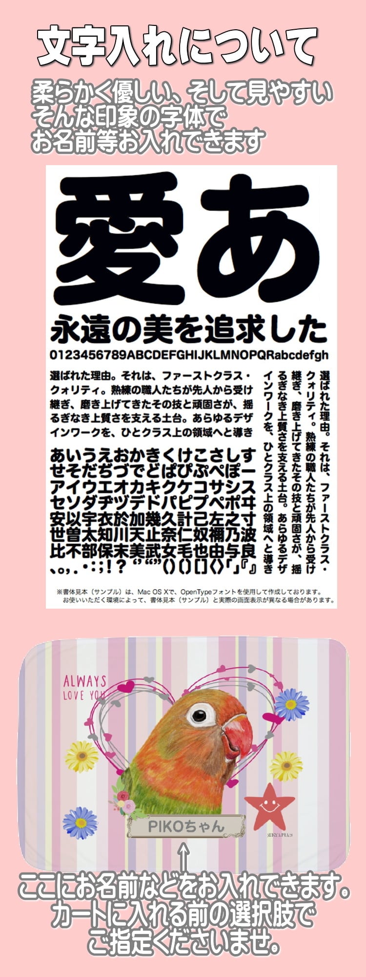 あーちゃん　ビッケブランカグッズおまとめ フトアゴヒゲトカゲ 爬虫類 ソフトブランケット ひざかけ 毛布 グッズ