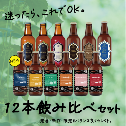【全部楽しめる！】迷ったらこちら！しっかり楽しむ12本飲み比べセット