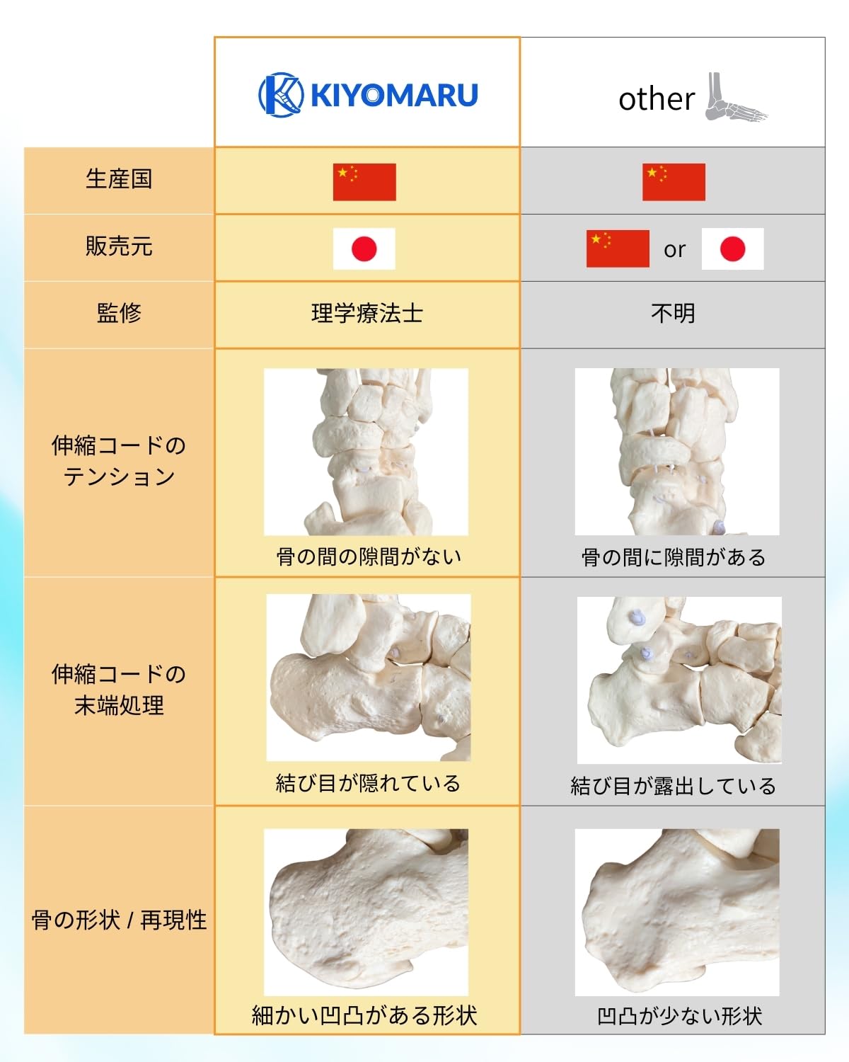 KIYOMARU ビヨーンと伸びて全ての骨を自由に動かせる足骨模型 理学療法