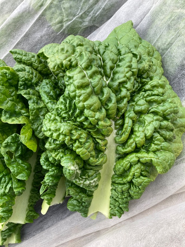 お正月を楽しむセット 《野菜とたっぷり蜂蜜セット》