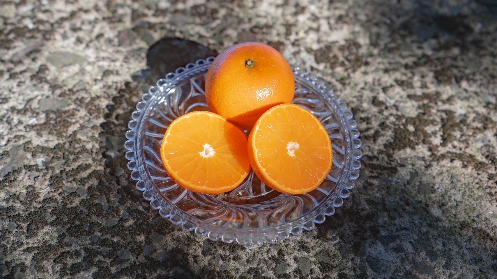 たんかん】3Lサイズ｜5kg （24個入り）2箱 | 酒瀬川果樹園