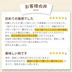 【2025年産】【11月発送】西条柿 2L 14玉（2.5ｋｇ）たしなみ