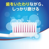 アクアフレッシュ 歯ブラシ レギュラー (ふつう) 12本 色はお選び頂けません