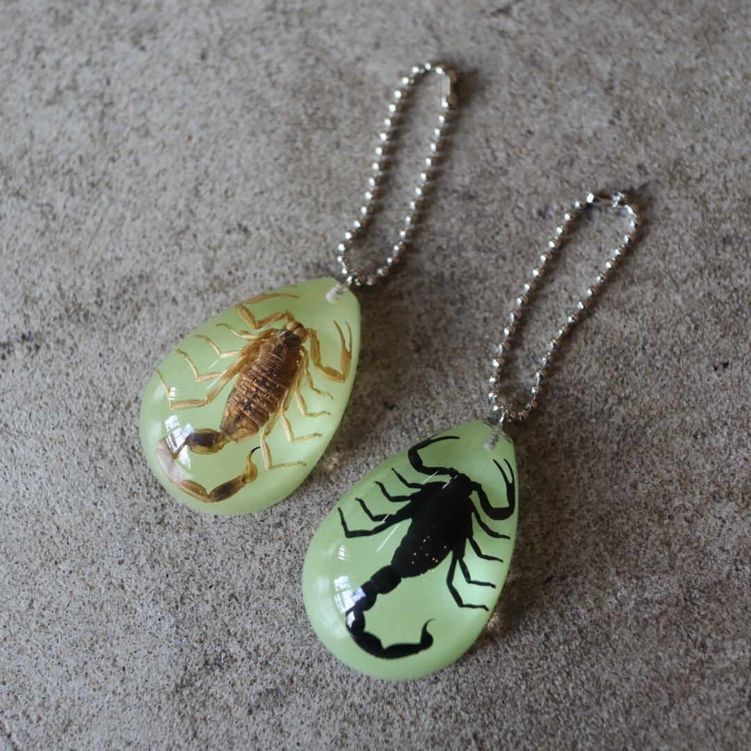 SCORPION / DROP KEYCHAIN | SPARROWS