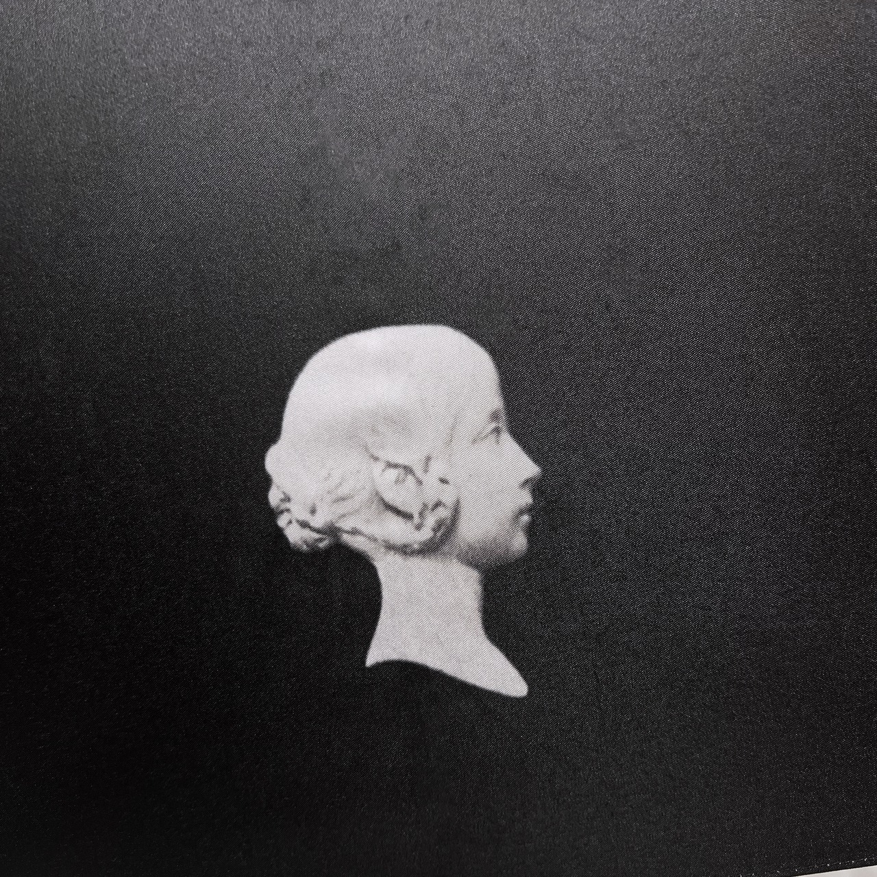 Ombre パラソル / No.125