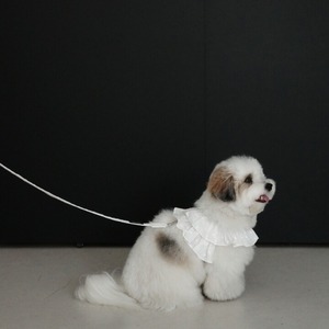 【予約】[ OHDIBS ] CAPENESS｜NO.18 _White