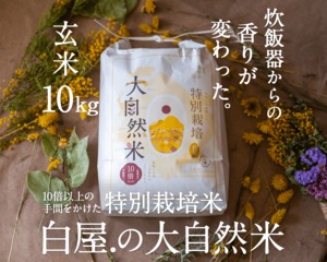 大自然米【10kg】玄米