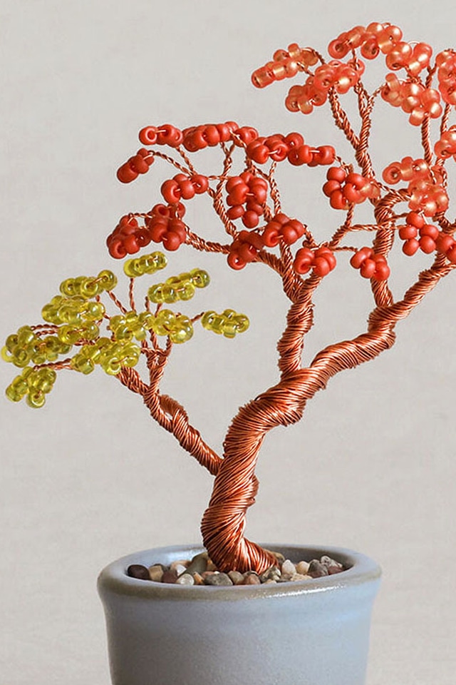 05 紅葉【nejitte盆栽】