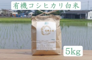 【5kg】有機コシヒカリ白米