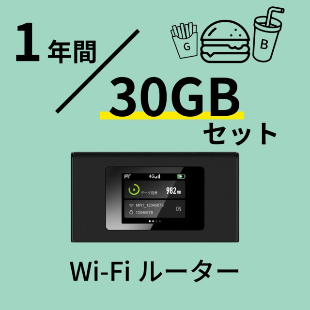 新品未使用 ギガセットwi-fi 100GB-