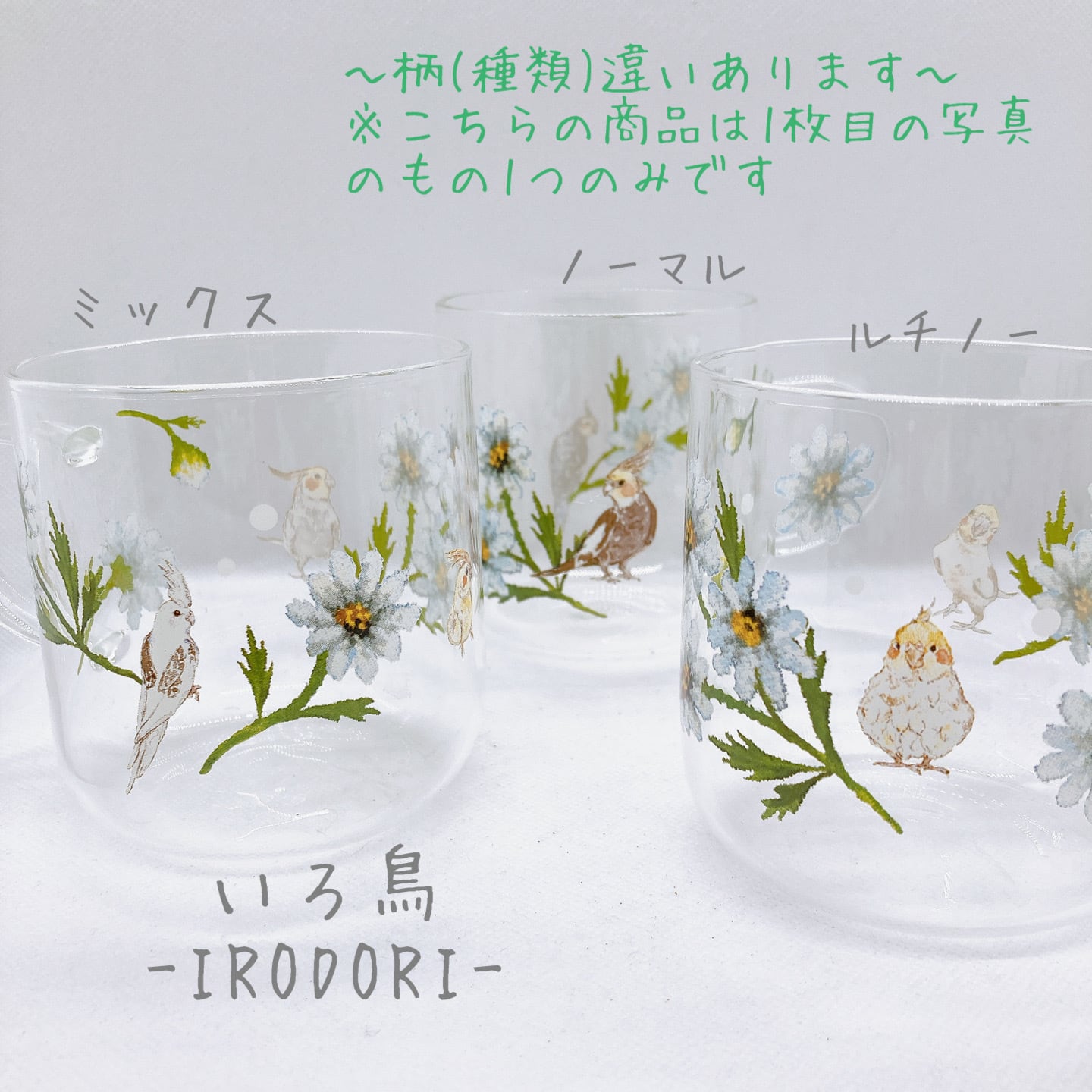 オカメインコとデイジー柄の耐熱マグカップ(コルクコースター付