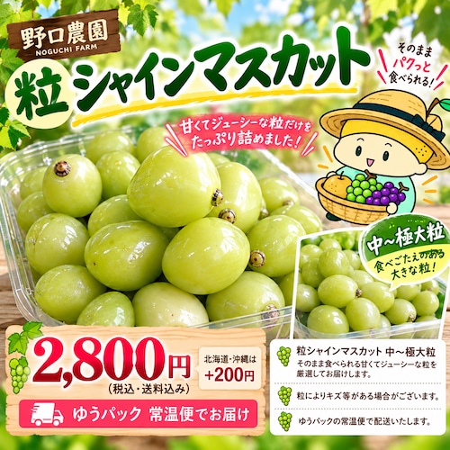 ■粒シャインマスカット1.2㎏入 送料無料!