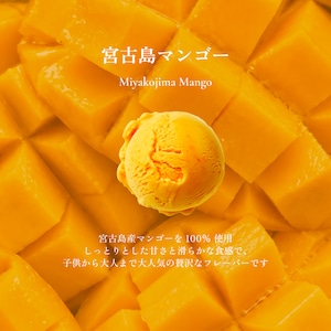 島の恵みジェラート（6個セット）