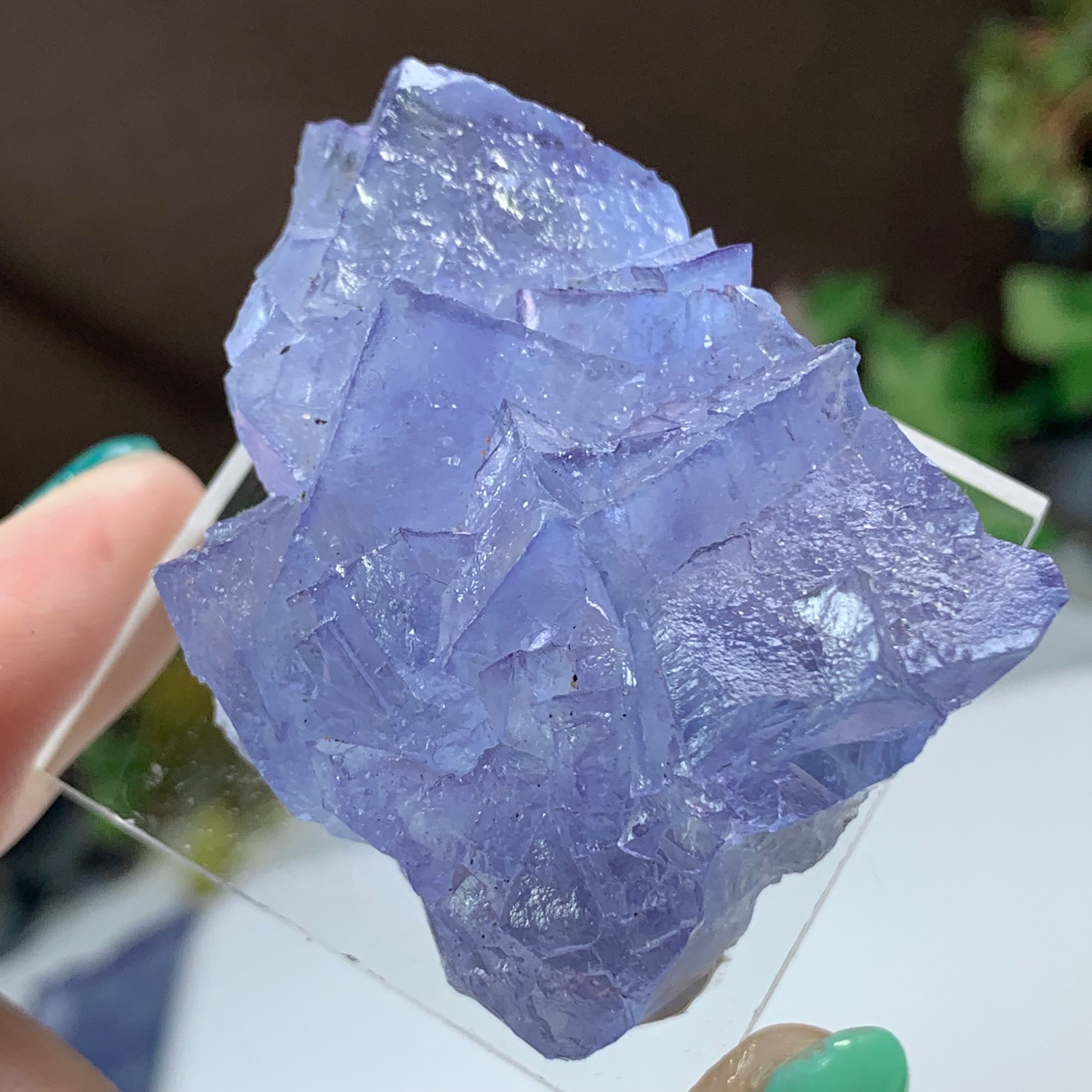 ヤオガンシャン産ブルーフローライトクラスター