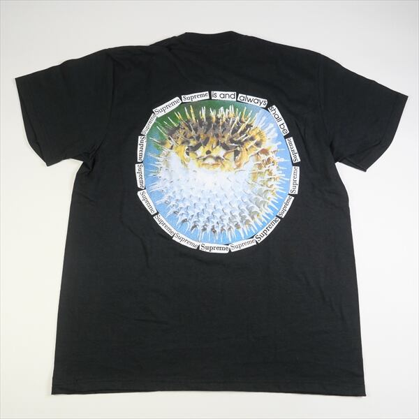 Size【M】 SUPREME シュプリーム 23SS Blowfish Tee Tシャツ 黒 【新古