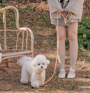 即納【stroll】Rope Collar (Banana)