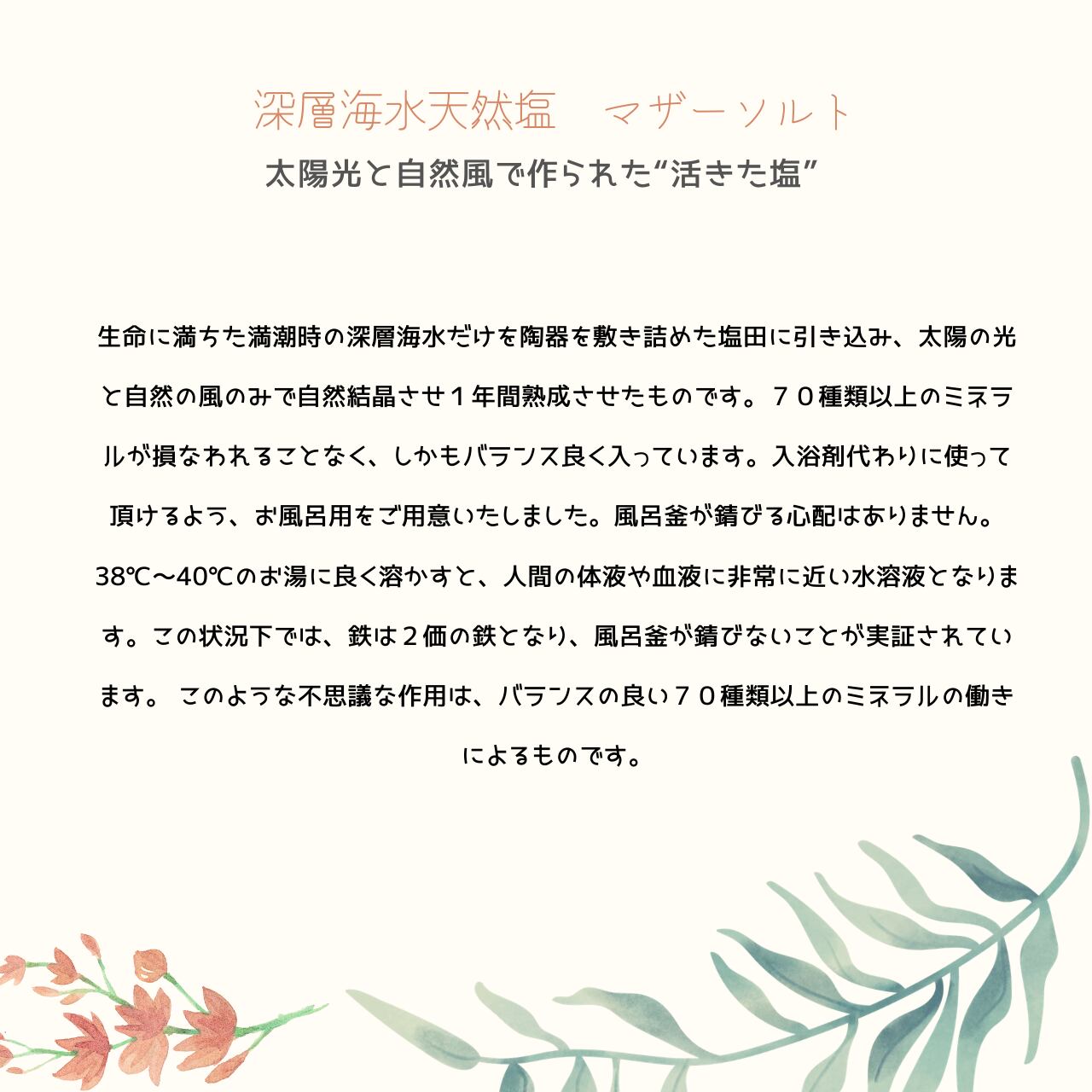 97 Off フジソルト サンメイトソルト 1kg