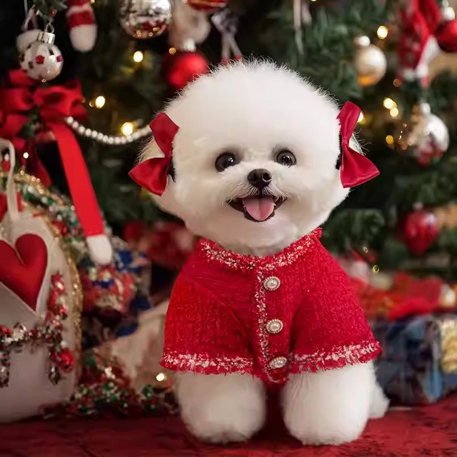 深紅のノーカラーツイードジャケット　犬服　00969