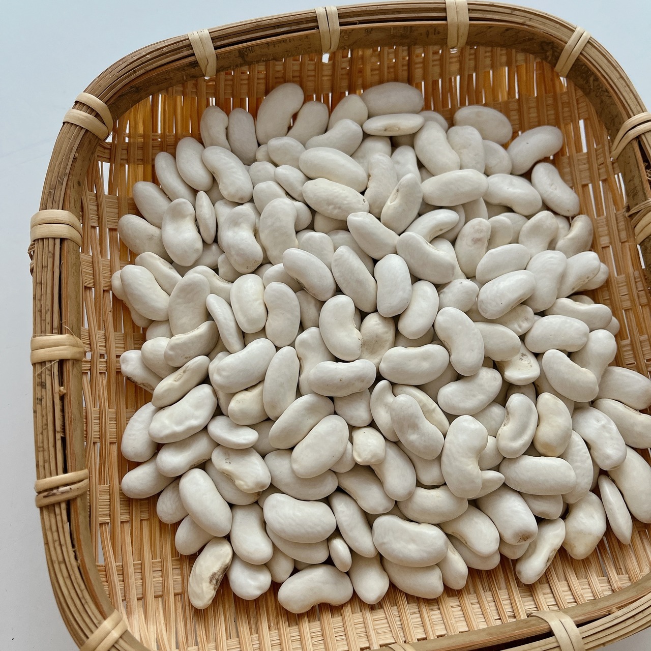 【新豆】北海道産 大福豆（白いんげん）３００グラム （令和５年産）