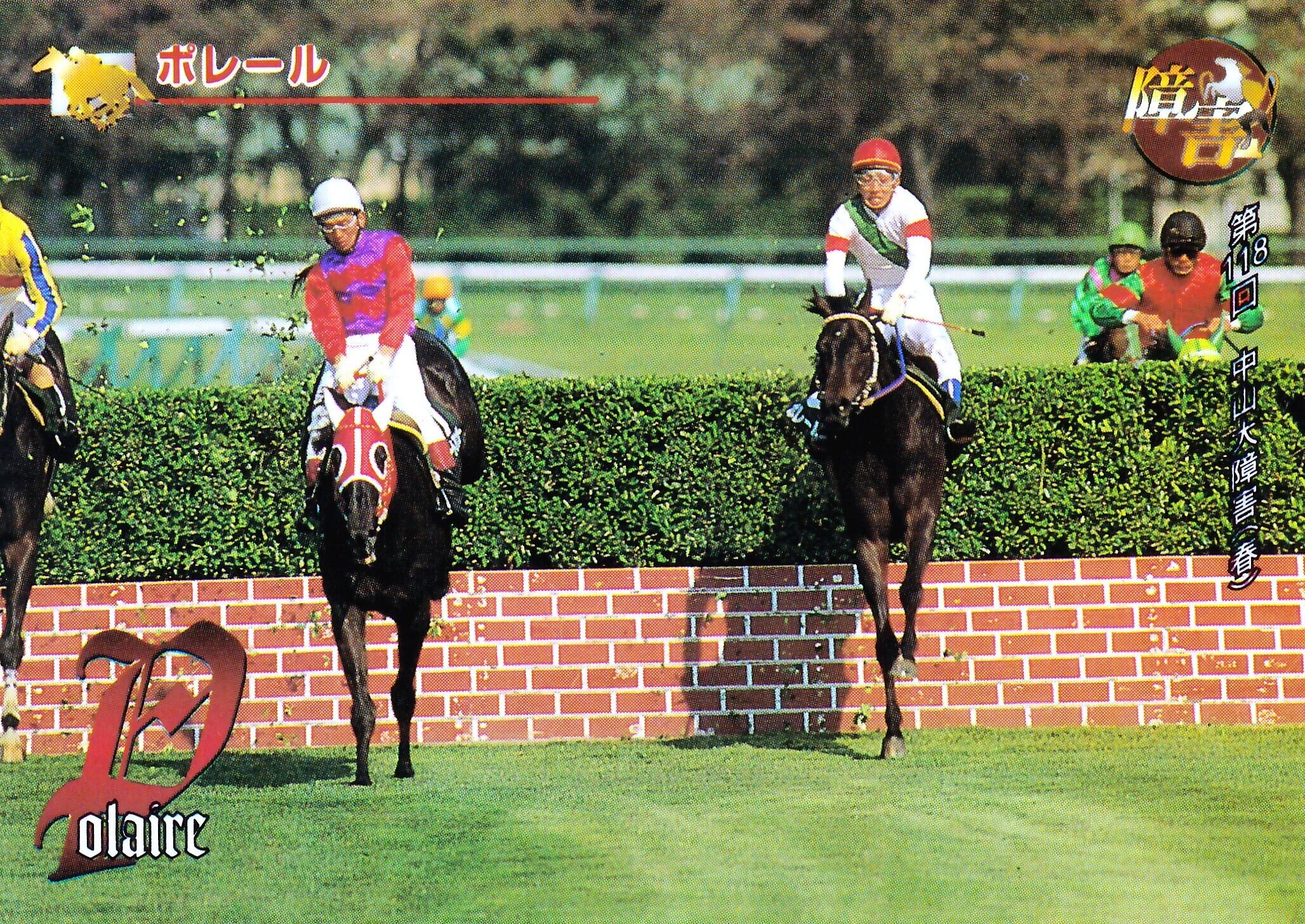 第118回中山大障害(春)  ポレール 単勝馬券 ボレール：第118回 農林水産省賞典中山大障害(春)「サラブレッドカード