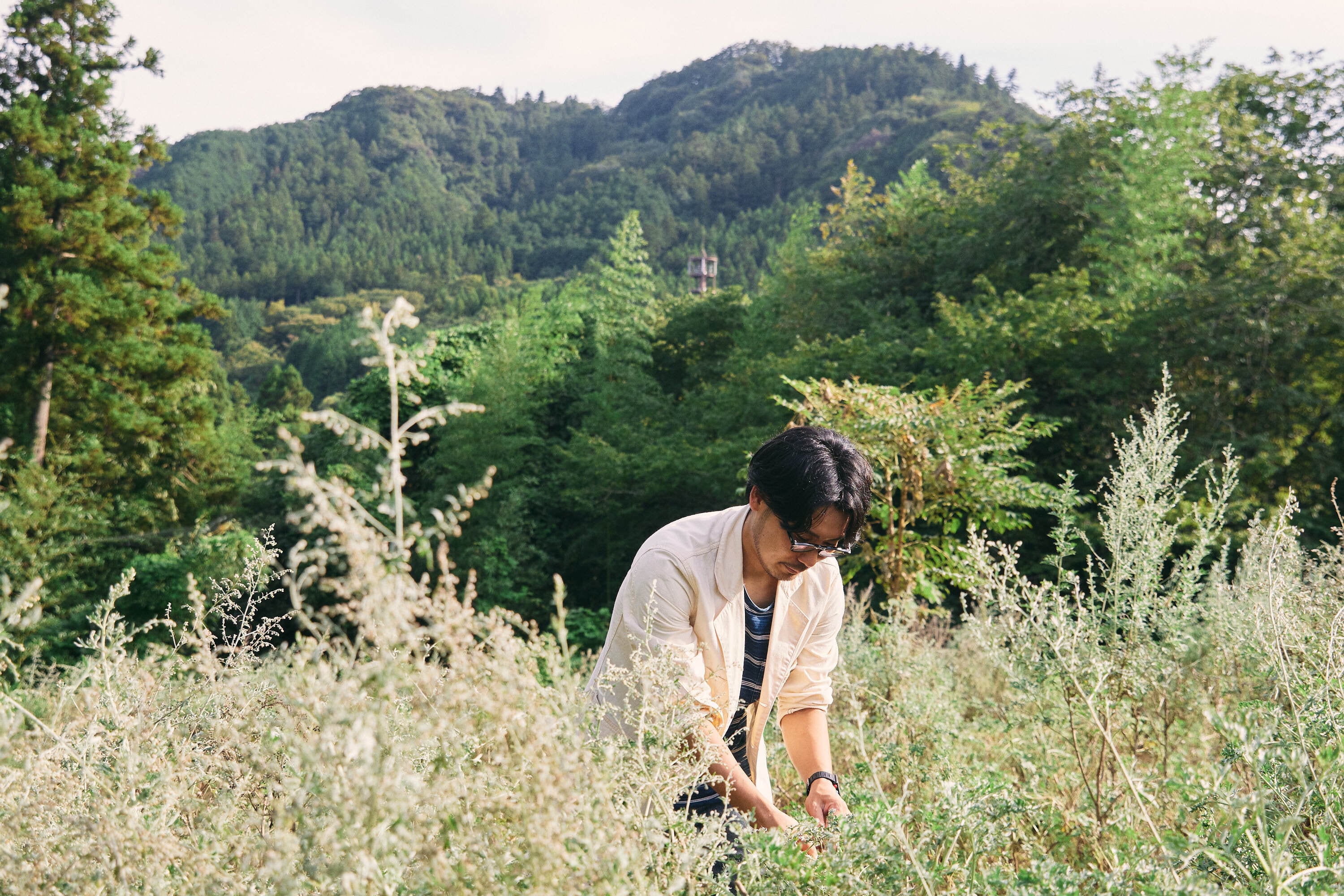 伊勢屋酒造 スカーレット ラディーチェアマーロ 2025 / SCARLET Radice